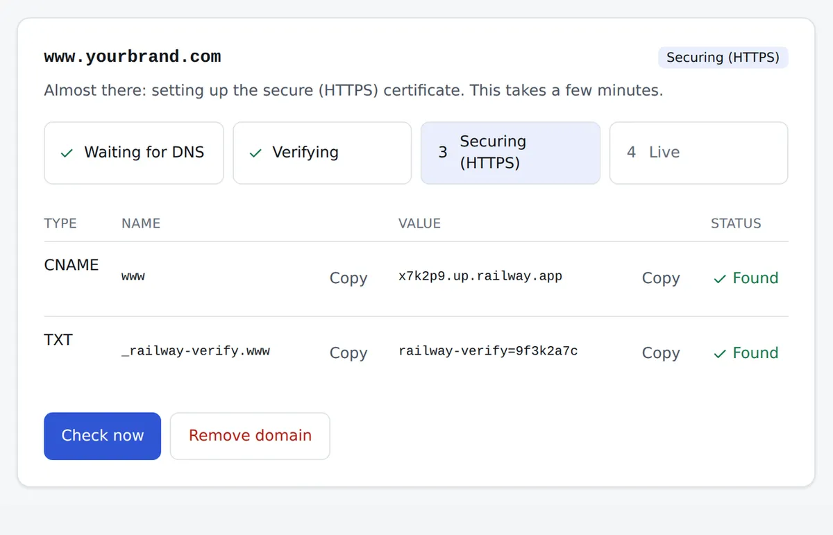 Connecting a domain in the partner panel, demo account: both DNS records are found, HTTPS is secured and the shop goes live