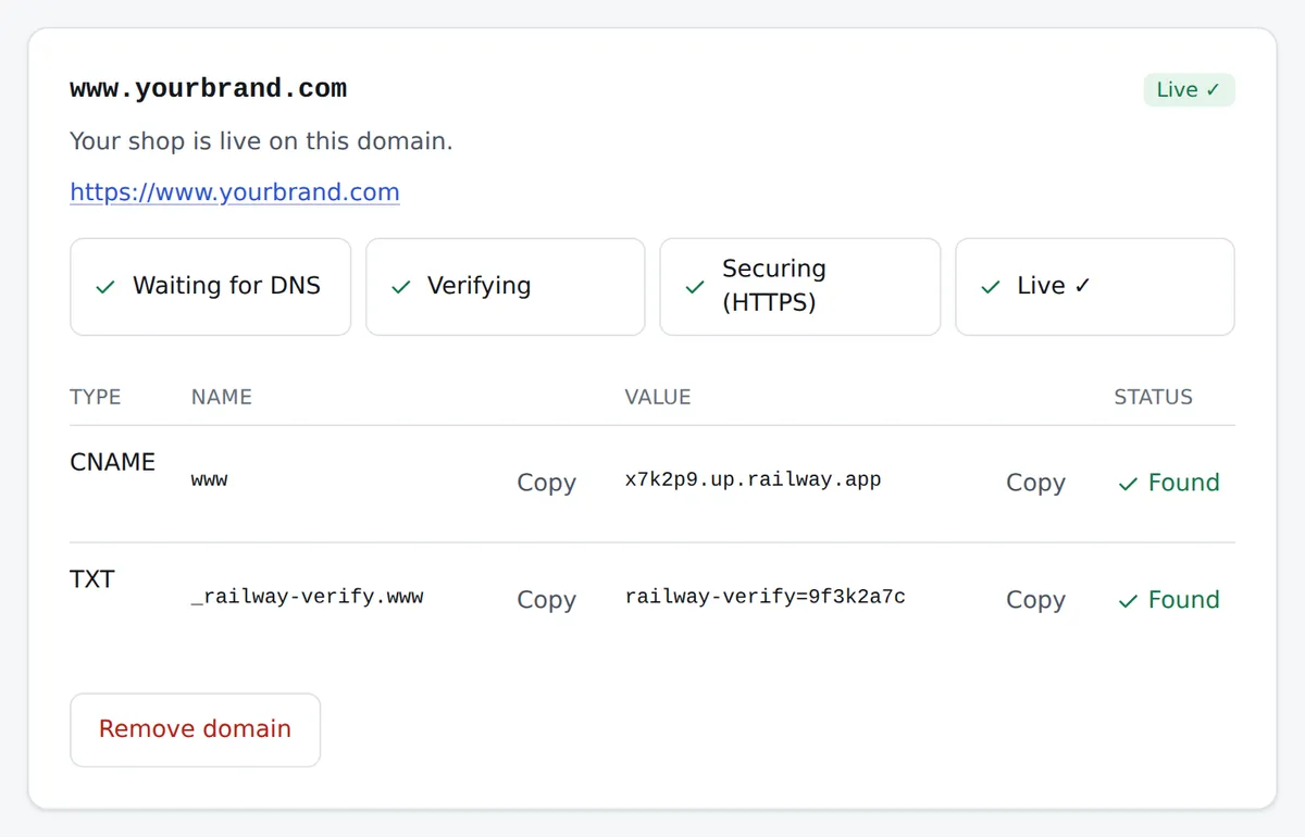The partner panel’s domain card, demo account: www.yourbrand.com is live after the DNS, verifying and HTTPS checks